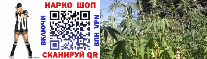 Купить закладку Лсд 25  Мефедрон  СОЛЬ  Амфетамин  МДМА  Геленджик